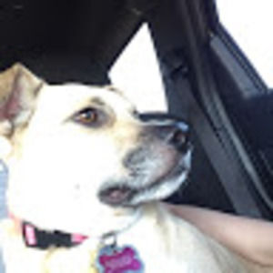 Meet your Posher, Karina